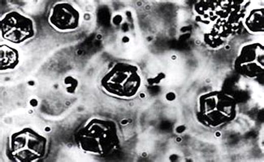 有哪些科技是中国原创的,什么科技只有中国才有