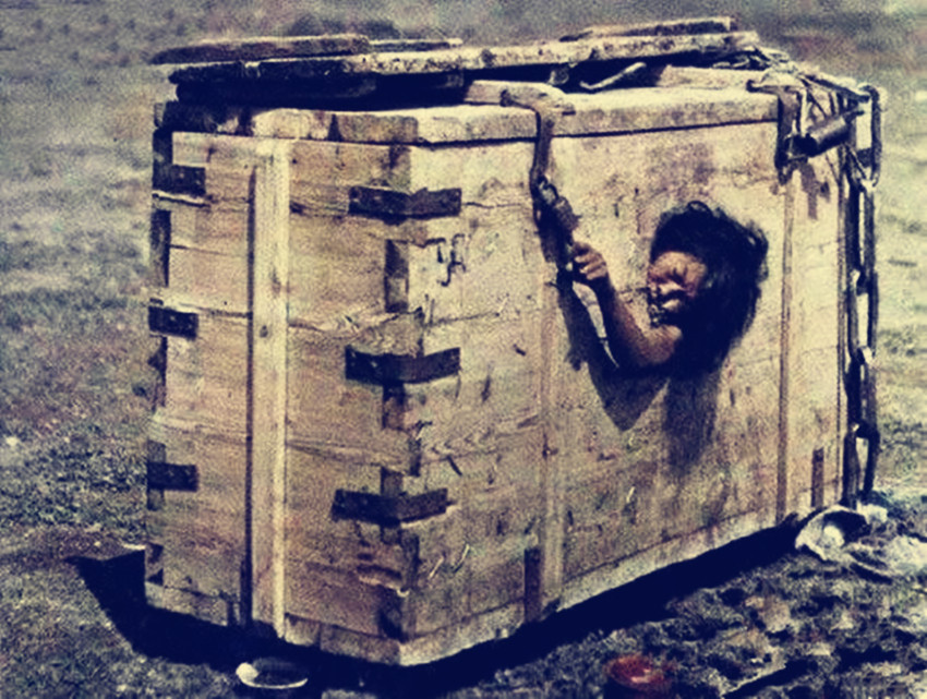 就因摸一下奶妈怀里的孩子，奶妈被鞭打致死