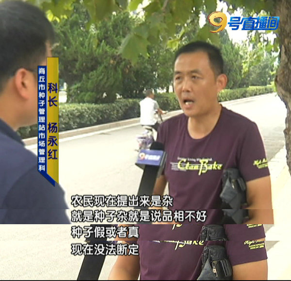 辣椒假种子,辣椒假种子最新进展