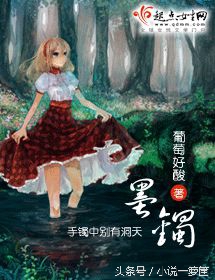 空间在手全文,空间在手免费阅读全文