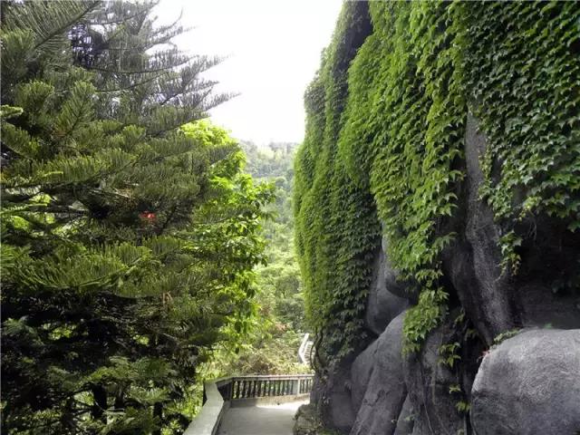 中国茶都安溪分布图,安溪中国茶都俯瞰图