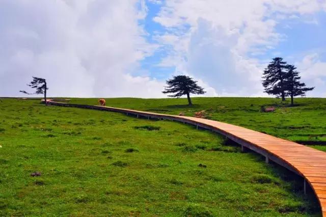 山西身份证为什么是14开头,山西身份证14开头