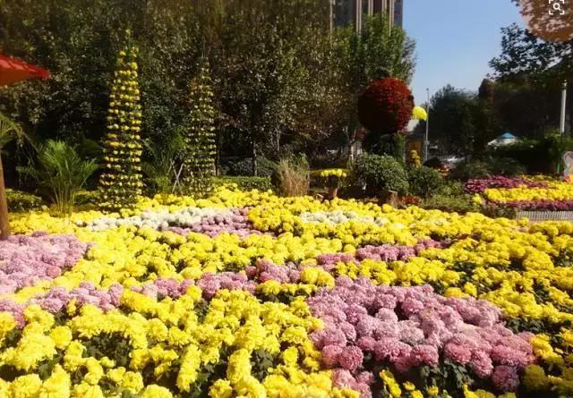 武汉不为人知的好玩地方推荐,武汉50块好玩的地方