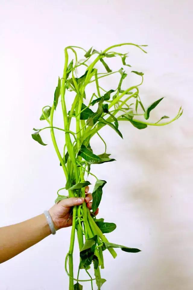 桂林舌尖上的粉,桂林白切猪手