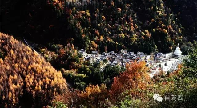 黑水彩林秘境,阿坝藏族羌族自治州黑水彩林