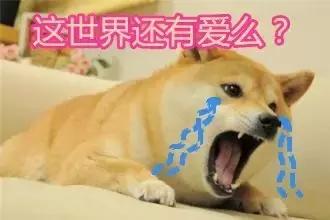 微笑和苏小妍最新消息,微笑和苏小妍复合了吗