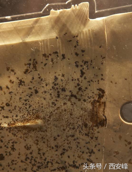 姹熻タ鐪佸崥鐗╅鐜夊櫒,姹熻タ鐪佸崥鐗╅鐜夊櫒澶氬悧