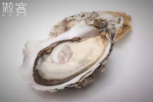 蚝门盛宴有哪些,正宗蚝门盛宴视频