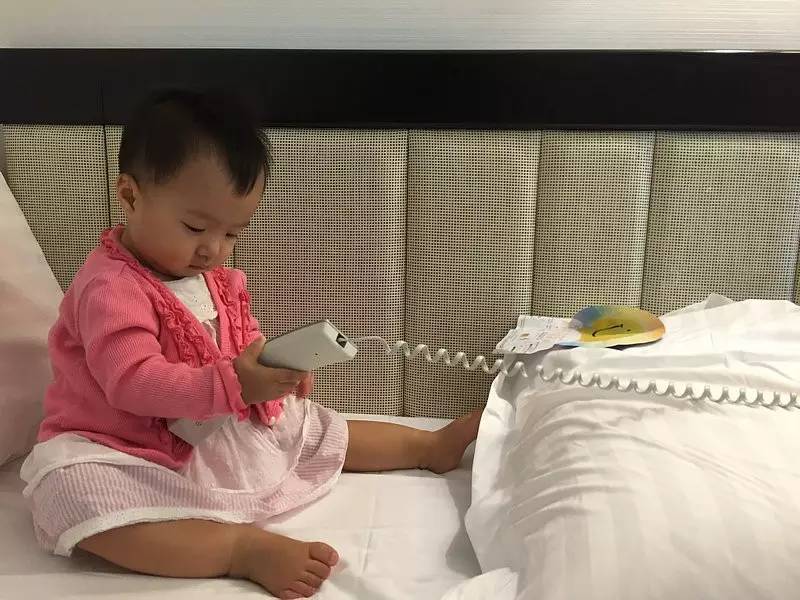 香港|两日一夜,不出沙田到底怎么玩