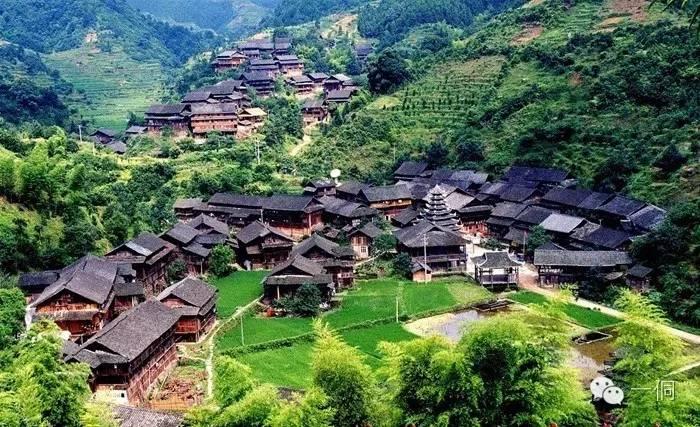 一侗给您介绍一位年轻的侗族捕猎能手——阿现大师