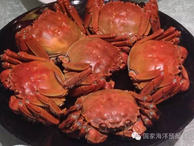 “秋风起，蟹飘香”~河蟹海蟹傻傻分不清？