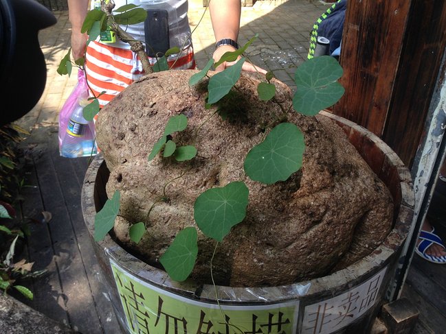 懒人版三亚旅游攻略,海南三亚懒人行租车