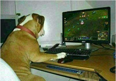 lol良心教学,lol怎么不被坑