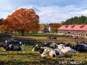 日本岩手县小森林取景地,小森林地方
