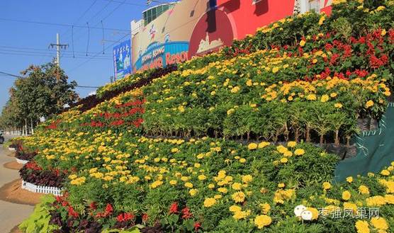 三年大变样给河北带来的影响,枣强县城的变迁
