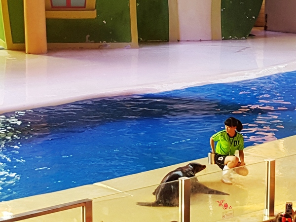 珠海长隆让人尖叫的海洋王国,珠海长隆海洋王国之绚丽多彩