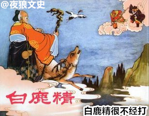 西游诸神坐骑大比拼，谁是最牛老司机？