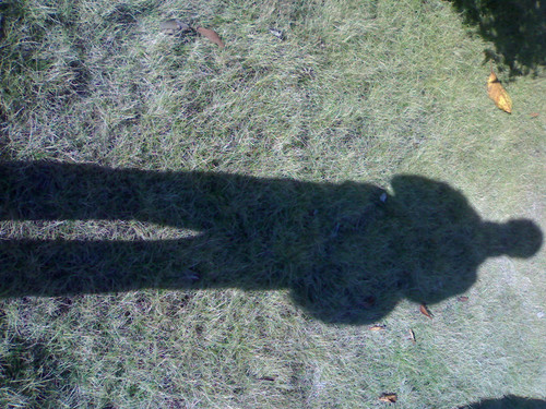 怎样发挥你的最大优势潜能,如何发挥员工的长处