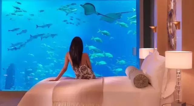 阿联酋对华免费落地签,阿联酋落地签最新通知