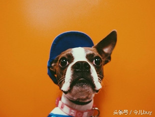 生活小妙招口香糖粘头发上怎么办,口香糖粘到头发上怎么取下来