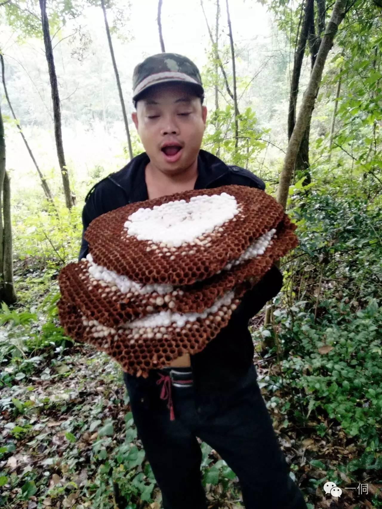 一侗给您介绍一位年轻的侗族捕猎能手——阿现大师