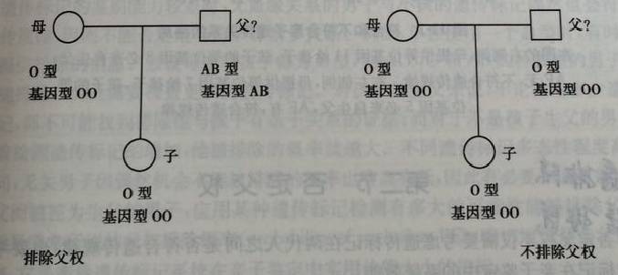 王宝强做亲子鉴定是真的还是假的,王宝强的孩子亲子鉴定是自己的吗