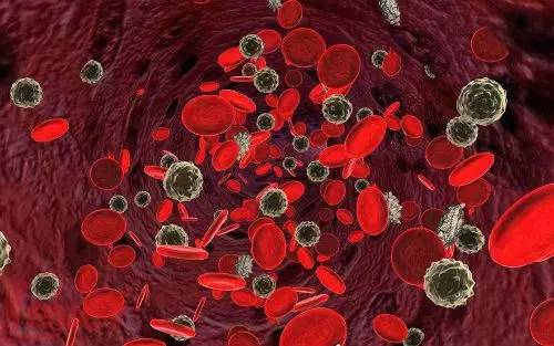 液体活检什么意思,液体活检行业跟踪报告