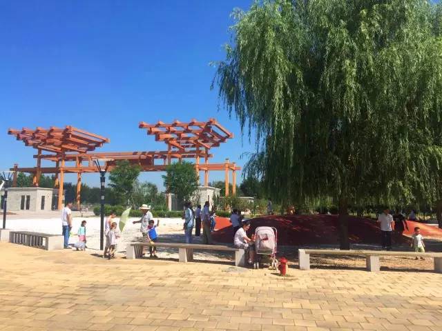 德州动植物园摄影,德州植物园景点