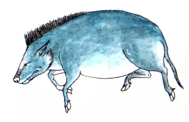 画在唐卡上的医书，令人惊叹！