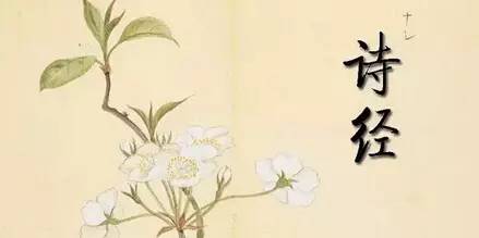 国学经典诵读本,25本国学经典从哪本开始看