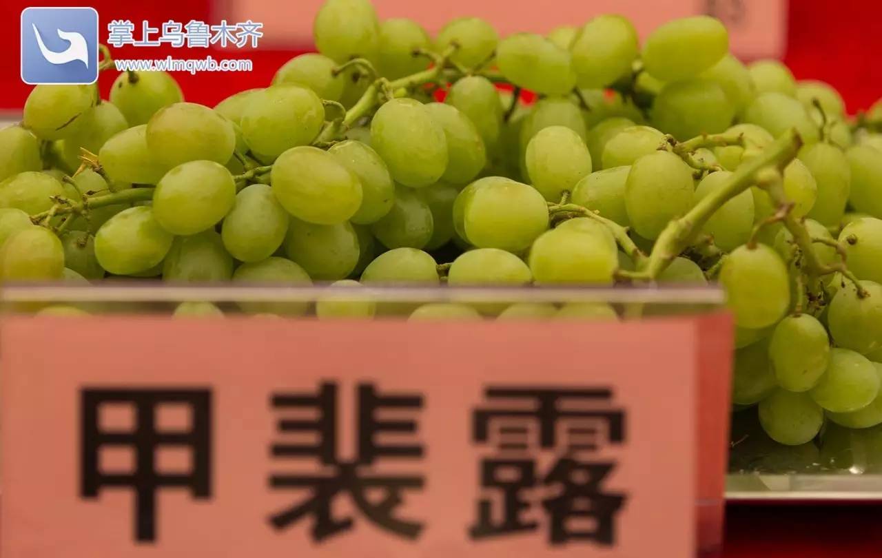 自带花香味的葡萄你吃过吗,吃葡萄不吐葡萄皮的葡萄怎么挑