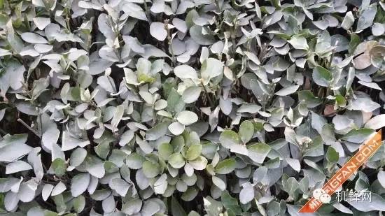 三星a72016款,三星a72016版测评