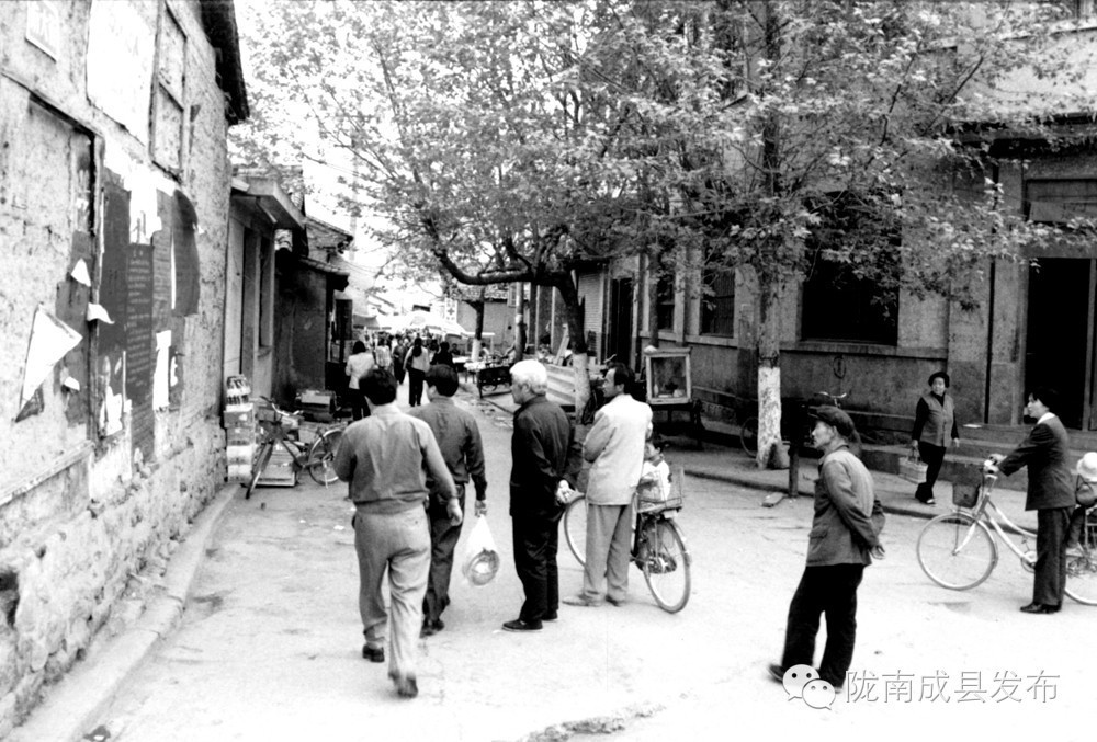 成县历史沿革详解,成县千年古县的评定