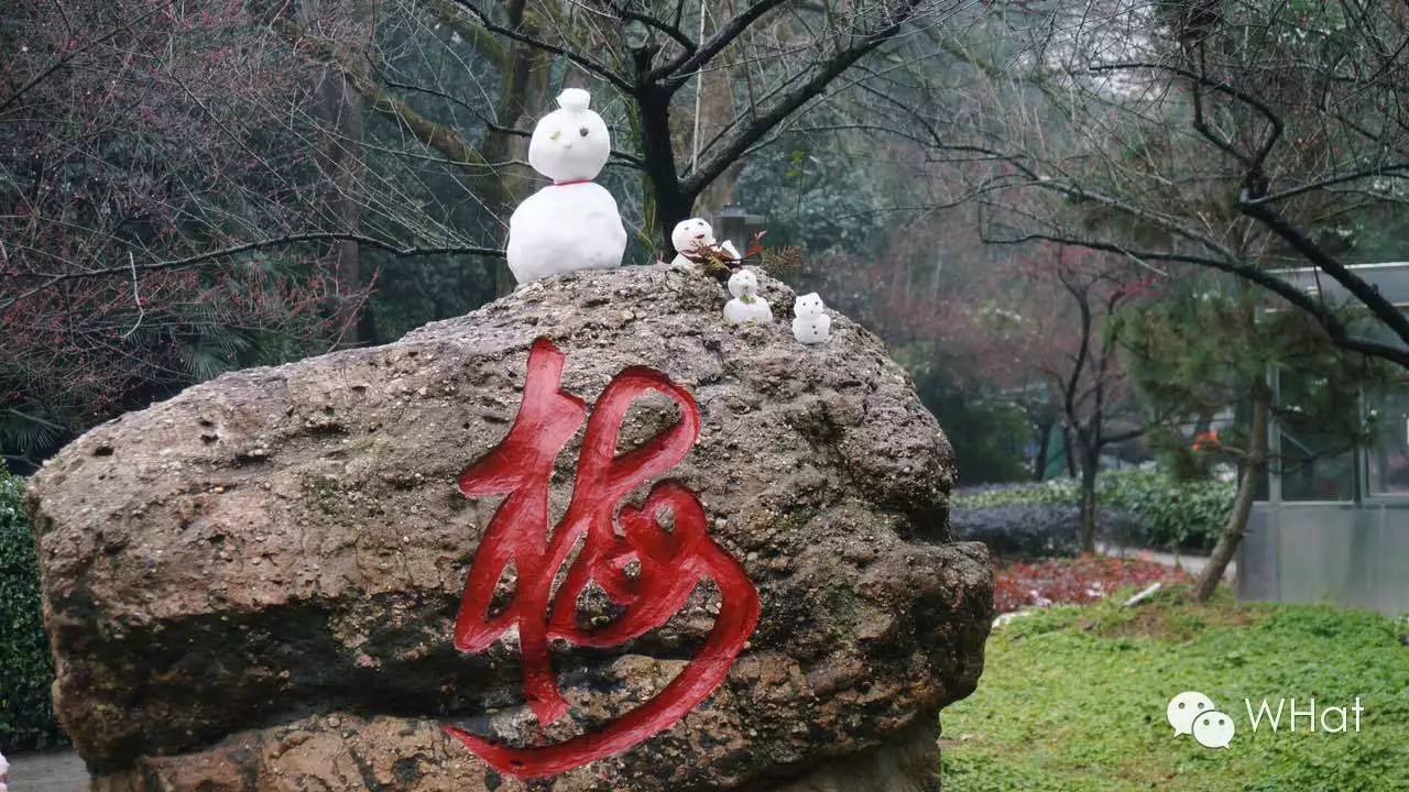 武汉只下一天雪吗,武汉下的是雪吗