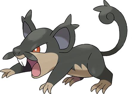 精灵宝可梦卡比兽技能推荐,精灵宝可梦日月对战