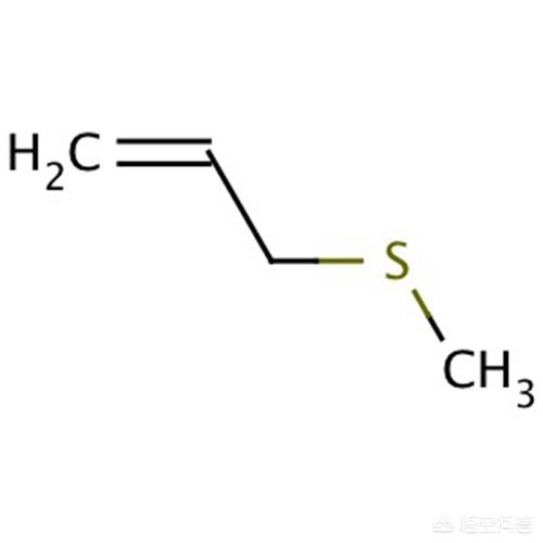 怎么缓解吃大蒜口臭,怎么消除吃大蒜的臭味