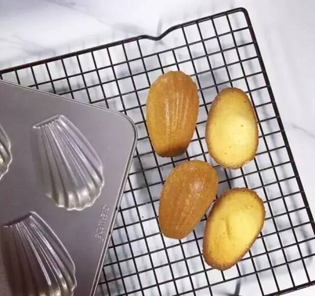 玛德琳模具新款,玛德琳模具单个