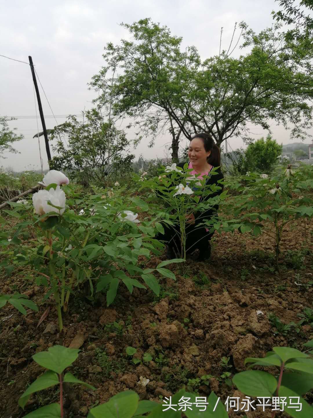 蔡维祥：发展好产业带来好“钱途”