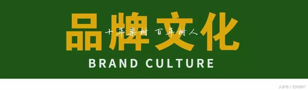 栾树画室口碑怎样,栾树画室地址在哪里