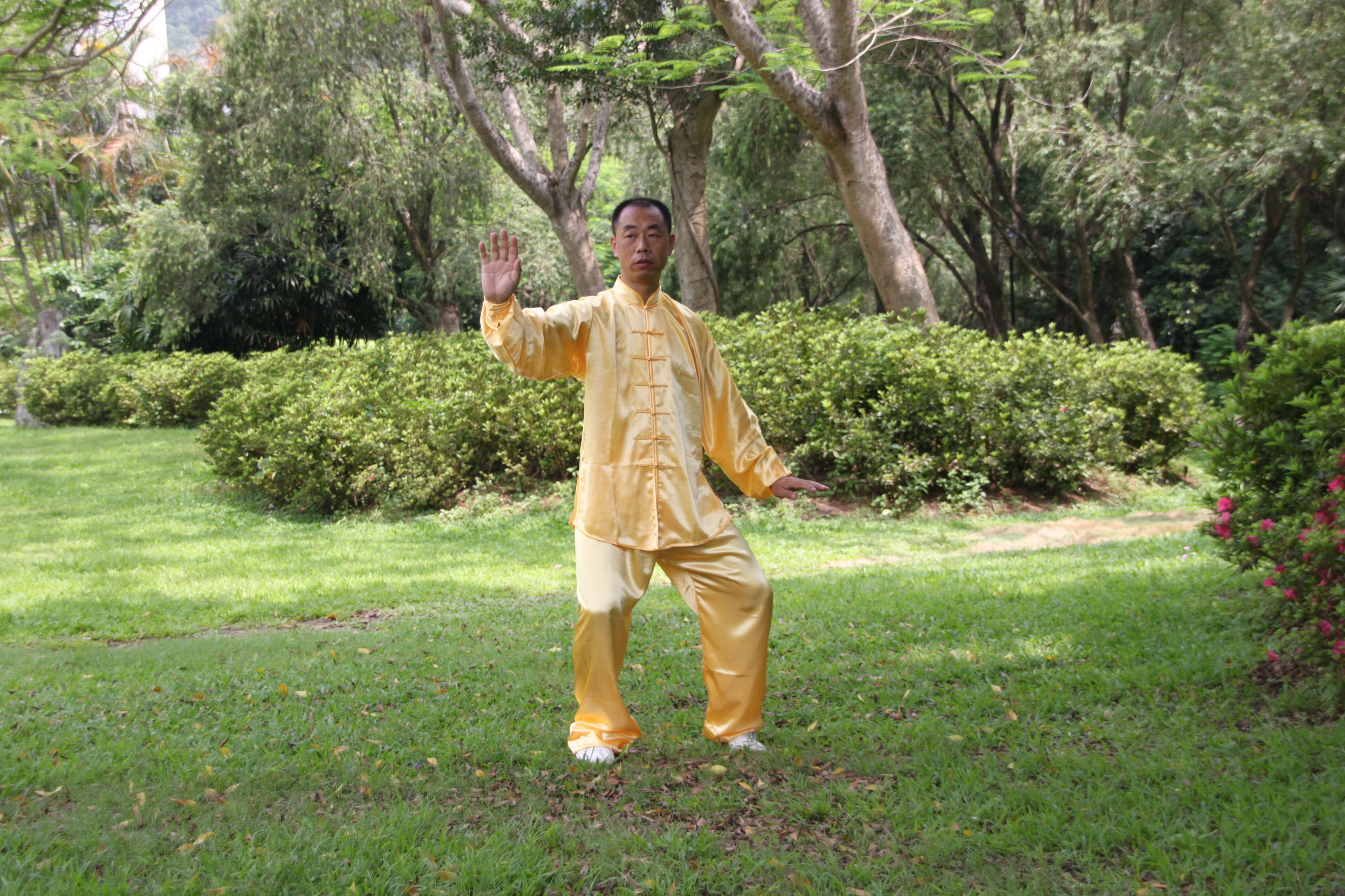 传统太极十三式教学,三丰太极十三式