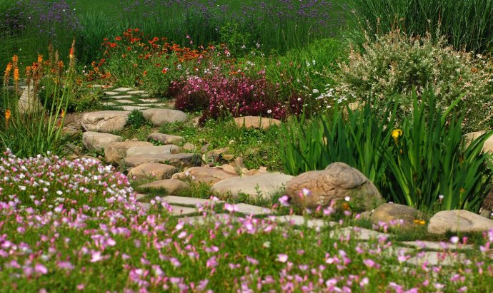 辰山植物园旱溪花境,上海辰山植物园珍稀植物