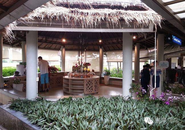 世界上最美的机场跑道,世界上最美的机场