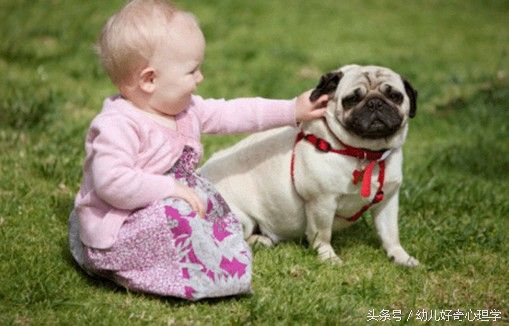 宝宝爱眨眼睛爱挤眼睛怎么办,孩子老眨眼眼睛睁不大