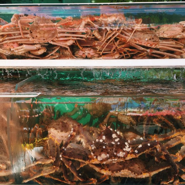 韩国美食集合大全,最新韩国美食大全