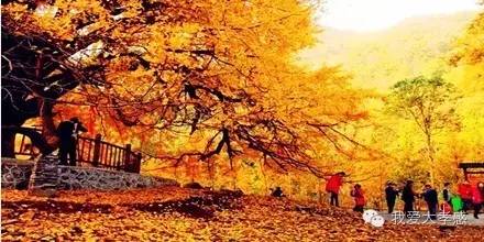 孝感到湖北各市县公里里程及自驾时间表,再也不怕导航迷路了