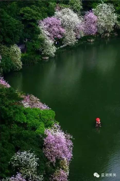 广东肇庆风水大势分析,肇庆风水大揭秘
