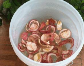 鲜酿酵素,鲜酿酵素怎么喝效果好