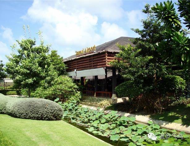 世界上最美的机场跑道,世界上最美的机场