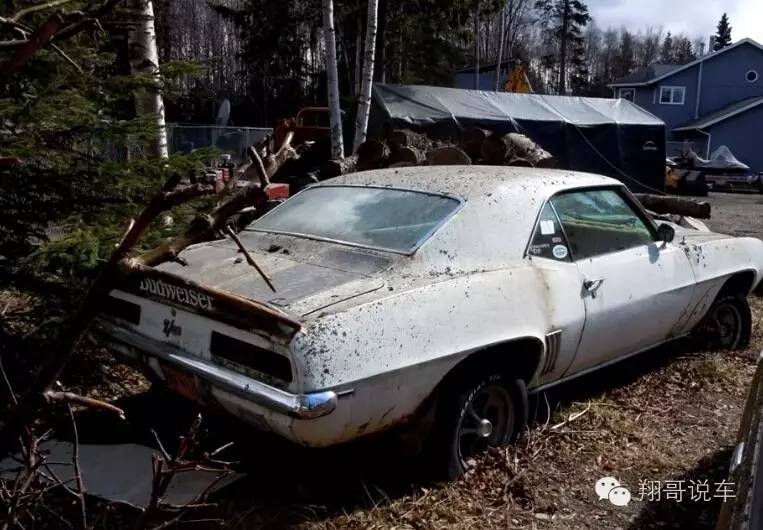 大黄蜂科迈罗最经典款,大黄蜂科迈罗每一代的变化