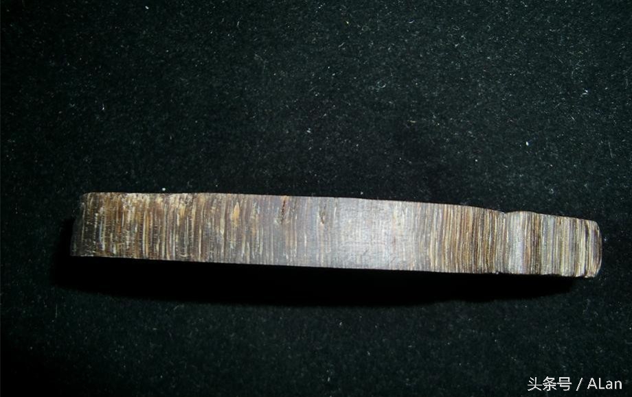 犀牛原角特征,犀牛的角的辨别标准